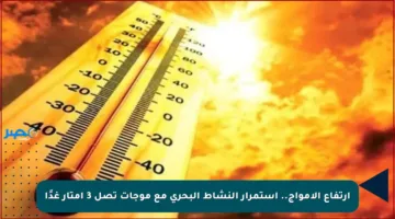 ارتفاع الأمواج.. استمرار النشاط البحري مع موجات تصل 3 أمتار غدًا